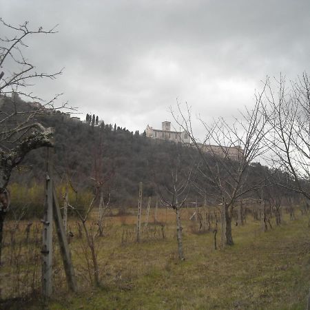 Camere Le Cascatelle Assisi Exteriér fotografie