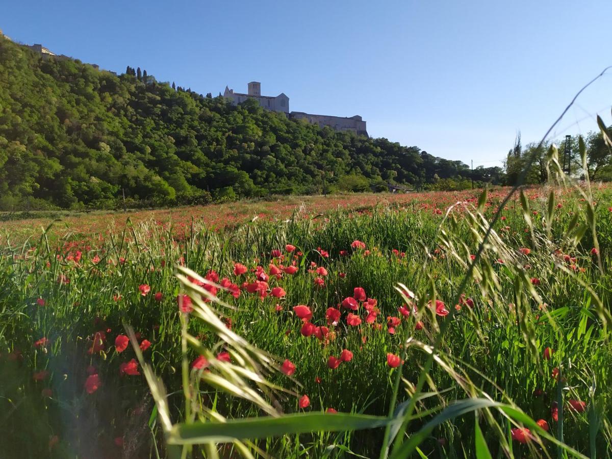 Camere Le Cascatelle Assisi Exteriér fotografie