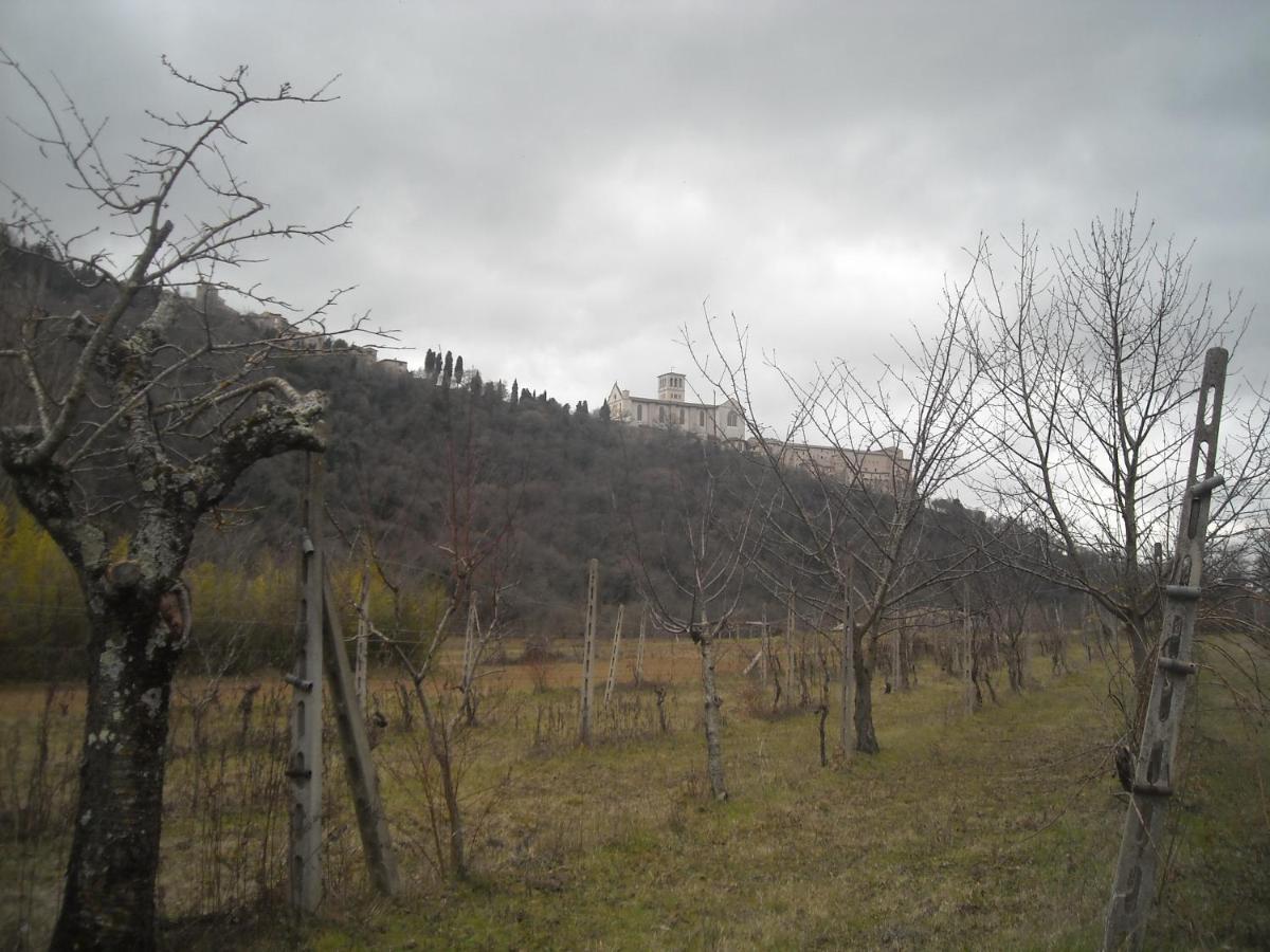 Camere Le Cascatelle Assisi Exteriér fotografie